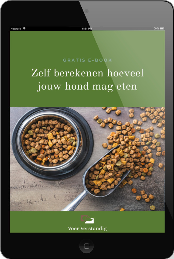 Ebook_voer_verstandig